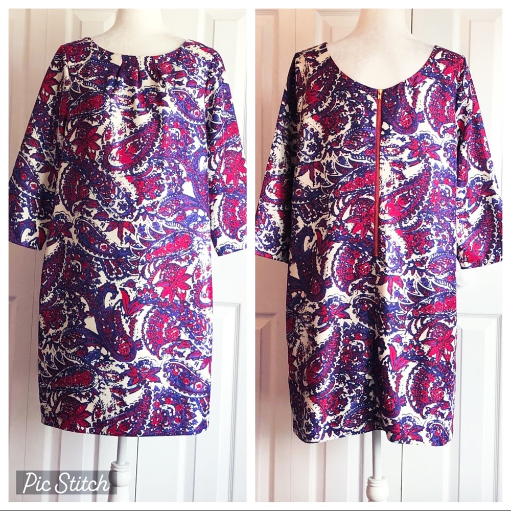 The Limited Colorful Pink Paisley Print 3/4 Sleeve Shift Dress Large